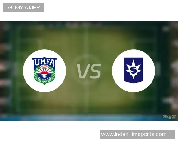 法国与冰岛足球赛前瞻分析及胜负预测详解